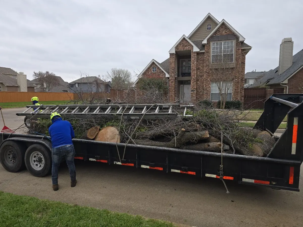 Expert Tree Fertilization with proper safety equipment in Denio